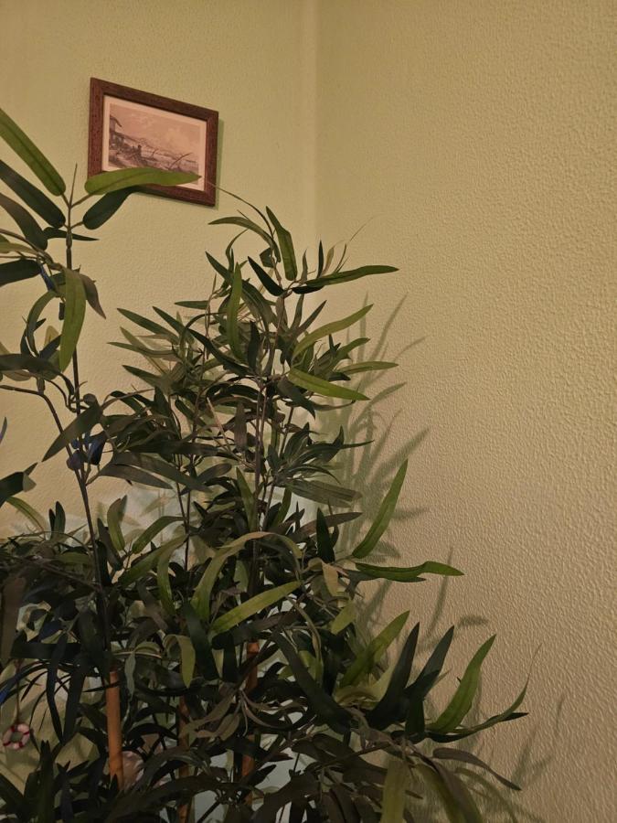 Habitacion Amplia Y Centrica En Piso Compartido 아 코루냐 외부 사진